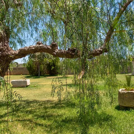 Agroturismo Azienda Agrituristica Masseria La Verna *