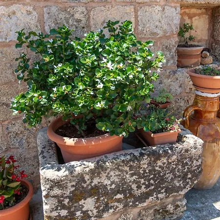 Azienda Agrituristica Masseria La Verna